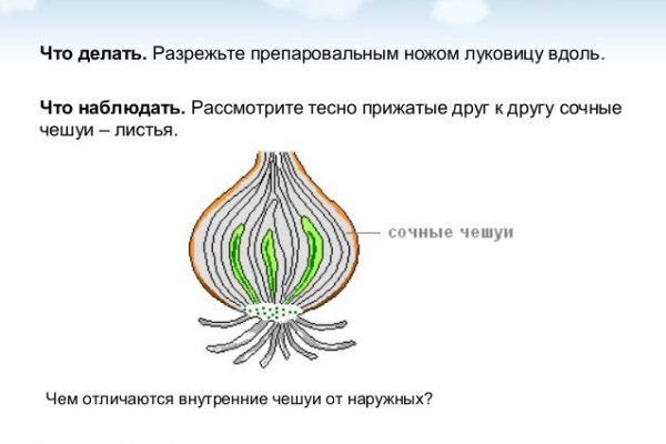 Как зайти на сайт blacksprut blacksprut wiki