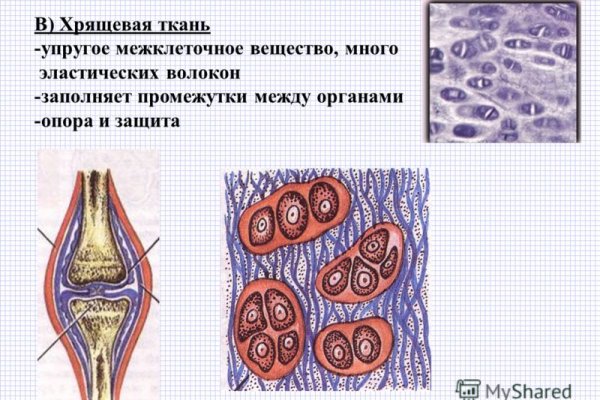 Блэкспрут ссылка тор blacksprut2web in