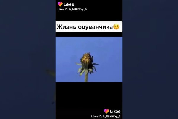 Блэк спрут и другие площадки